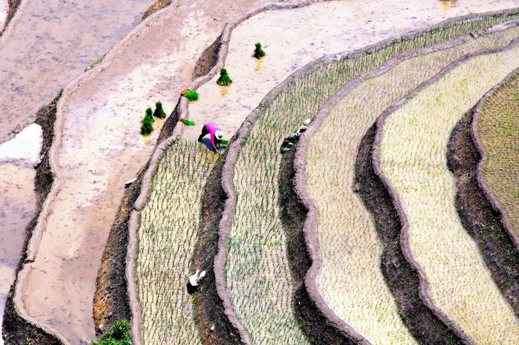 Ảnh dự thi “Vì môi trường xanh” (Phần 1) ảnh 1